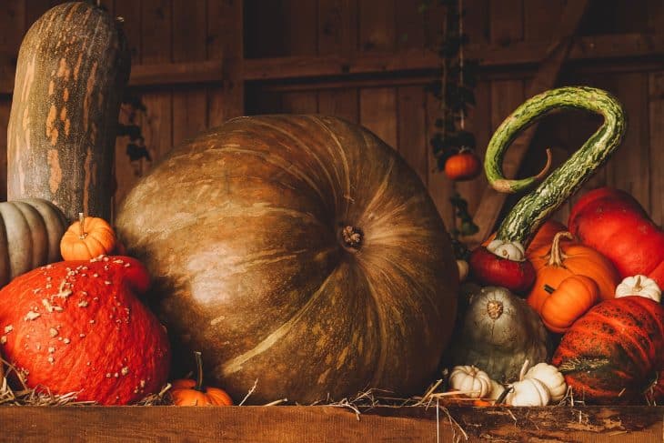 Pumpkin Facts, Pumpkin, Autumn, Fall, Harvest