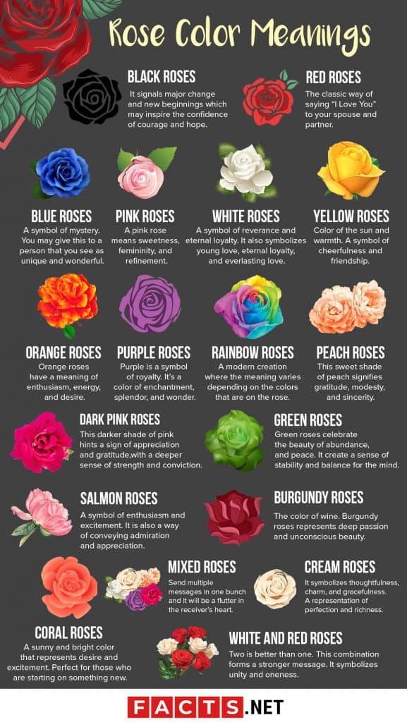 meaning of red roses