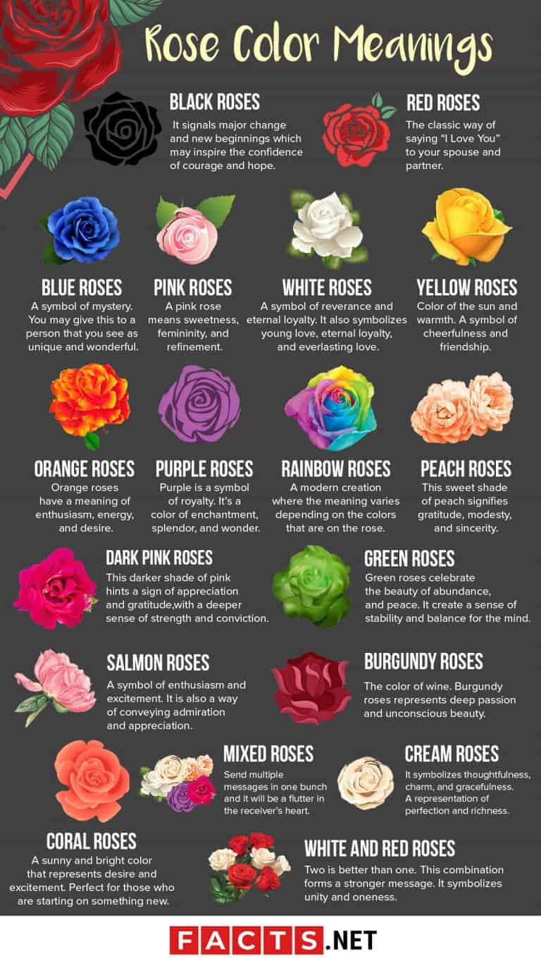 colors of roses meaning        <h3 class=