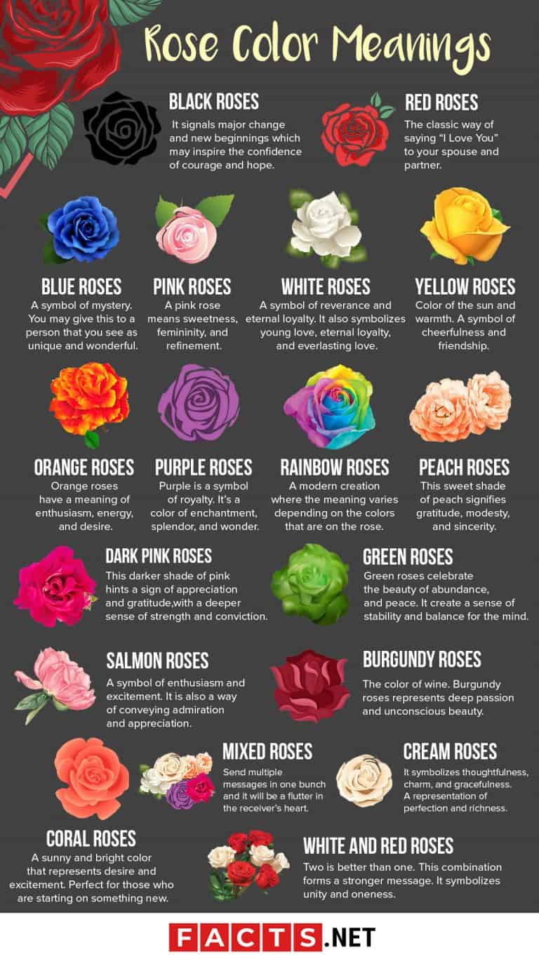 18 Rose Color Meanings That Are Just More Than Romantic Facts