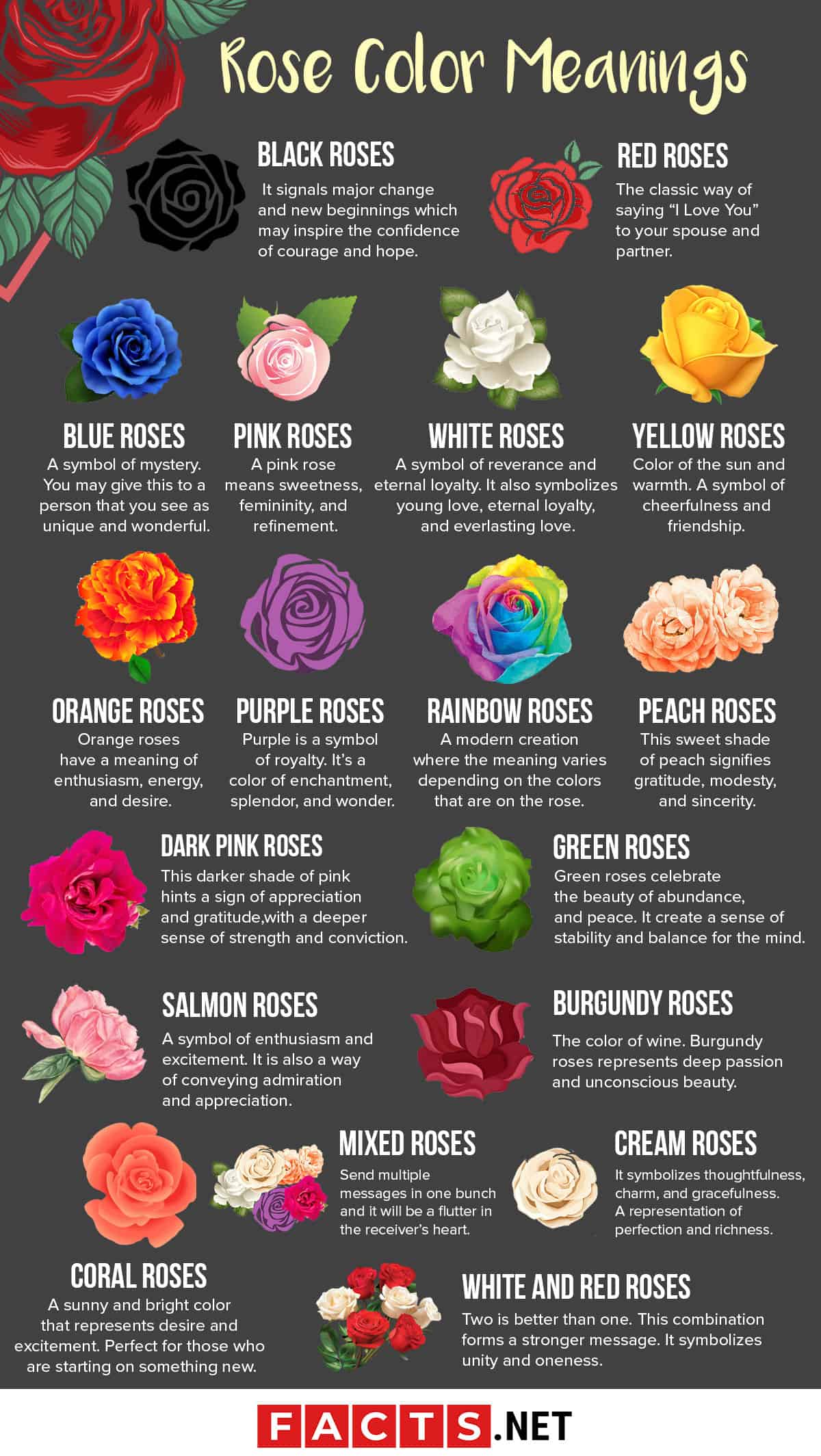 Rose Color Meanings Infographics