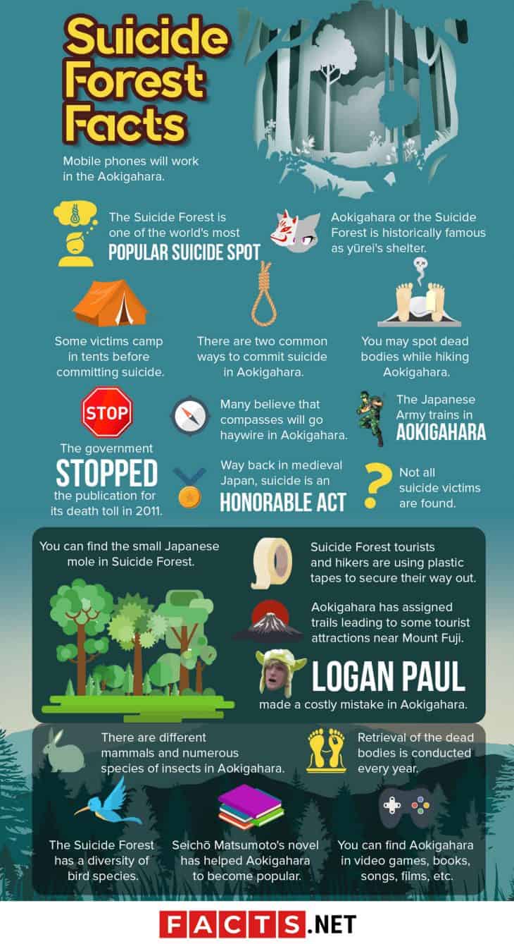 40 Suicide Forest Facts That May Creep You Out - Facts.net