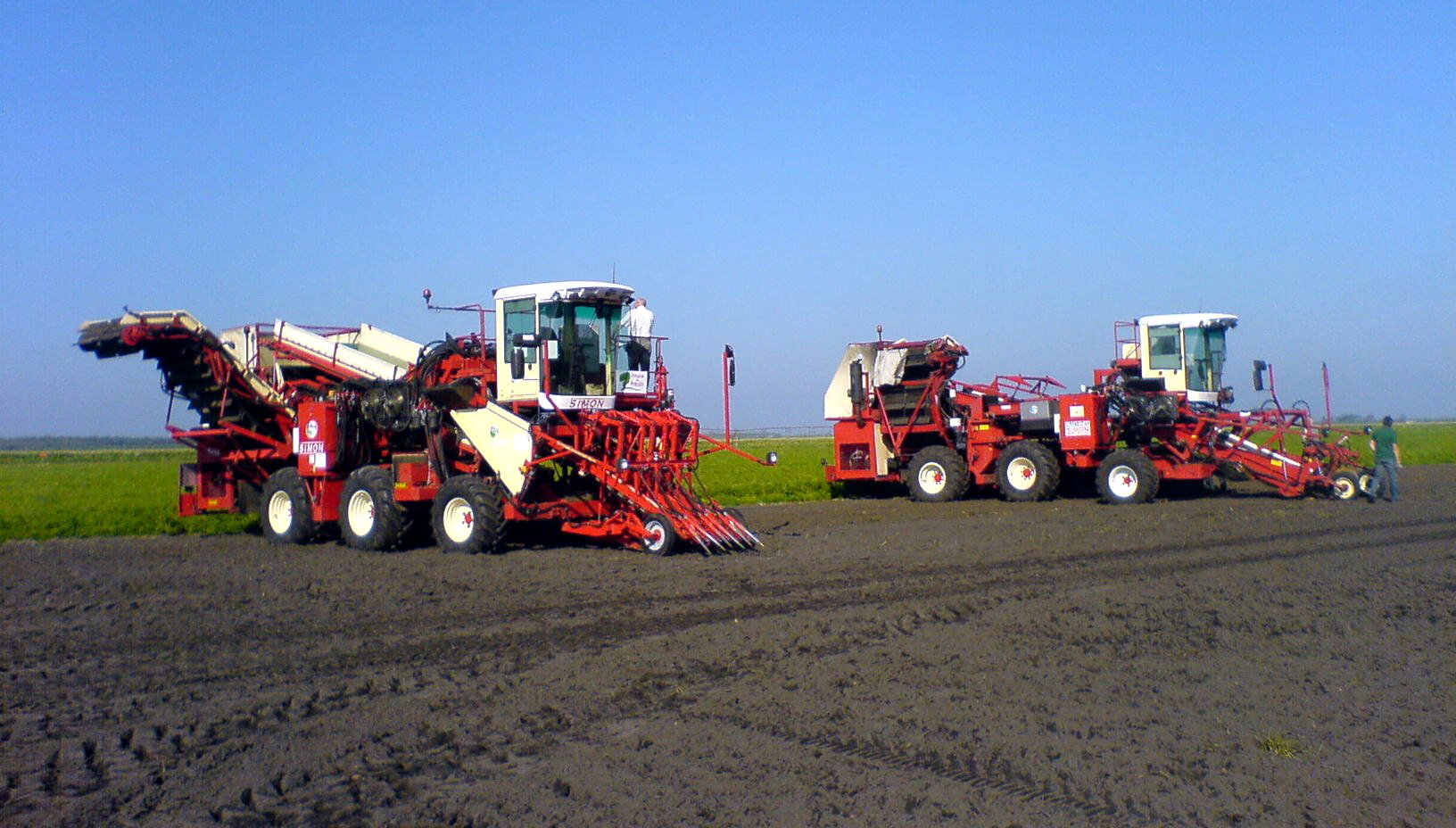 Carrot Facts, Carrot Harvesters