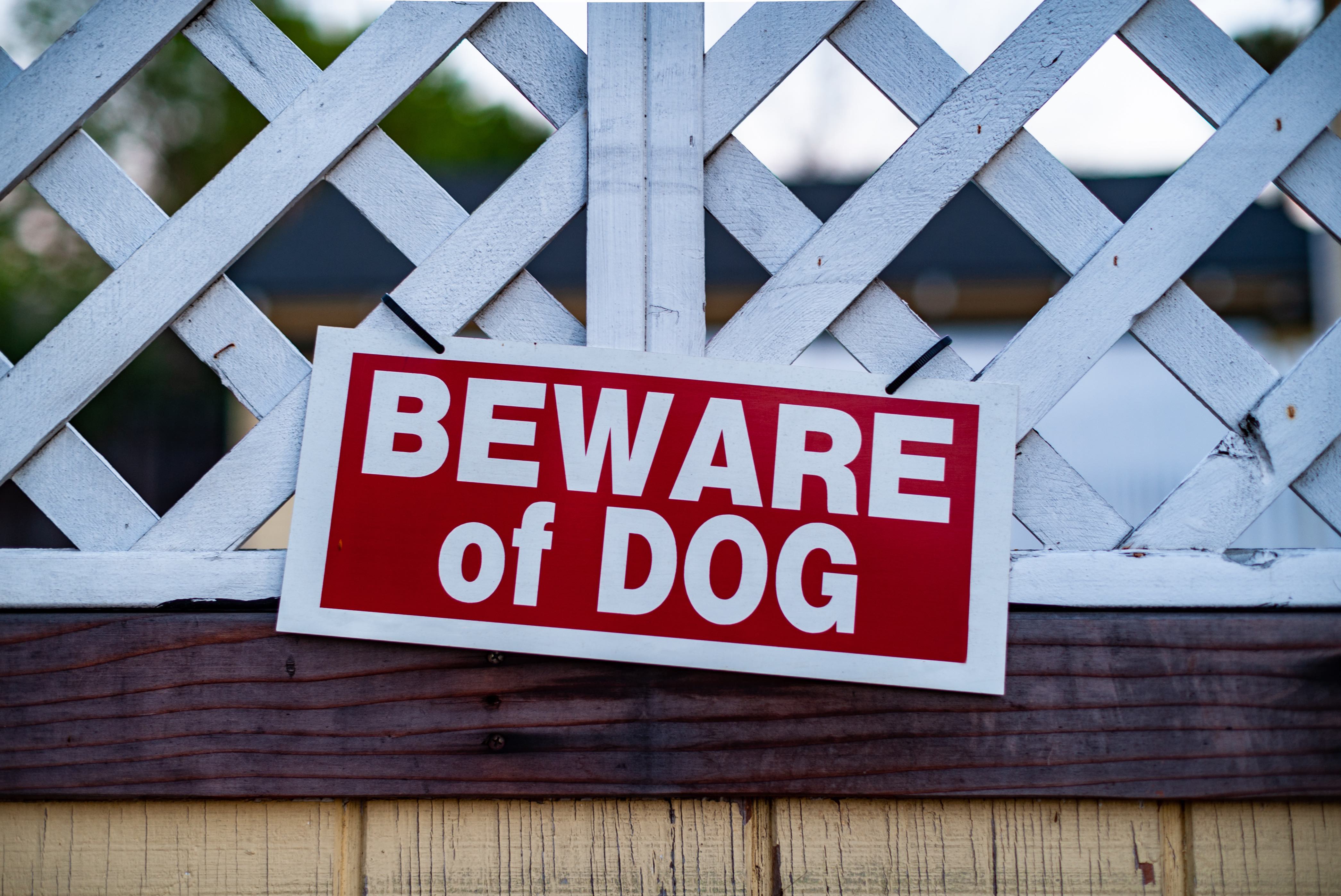 net guard dog