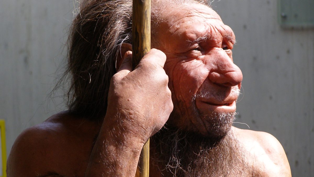 50 surprising neanderthal facts about