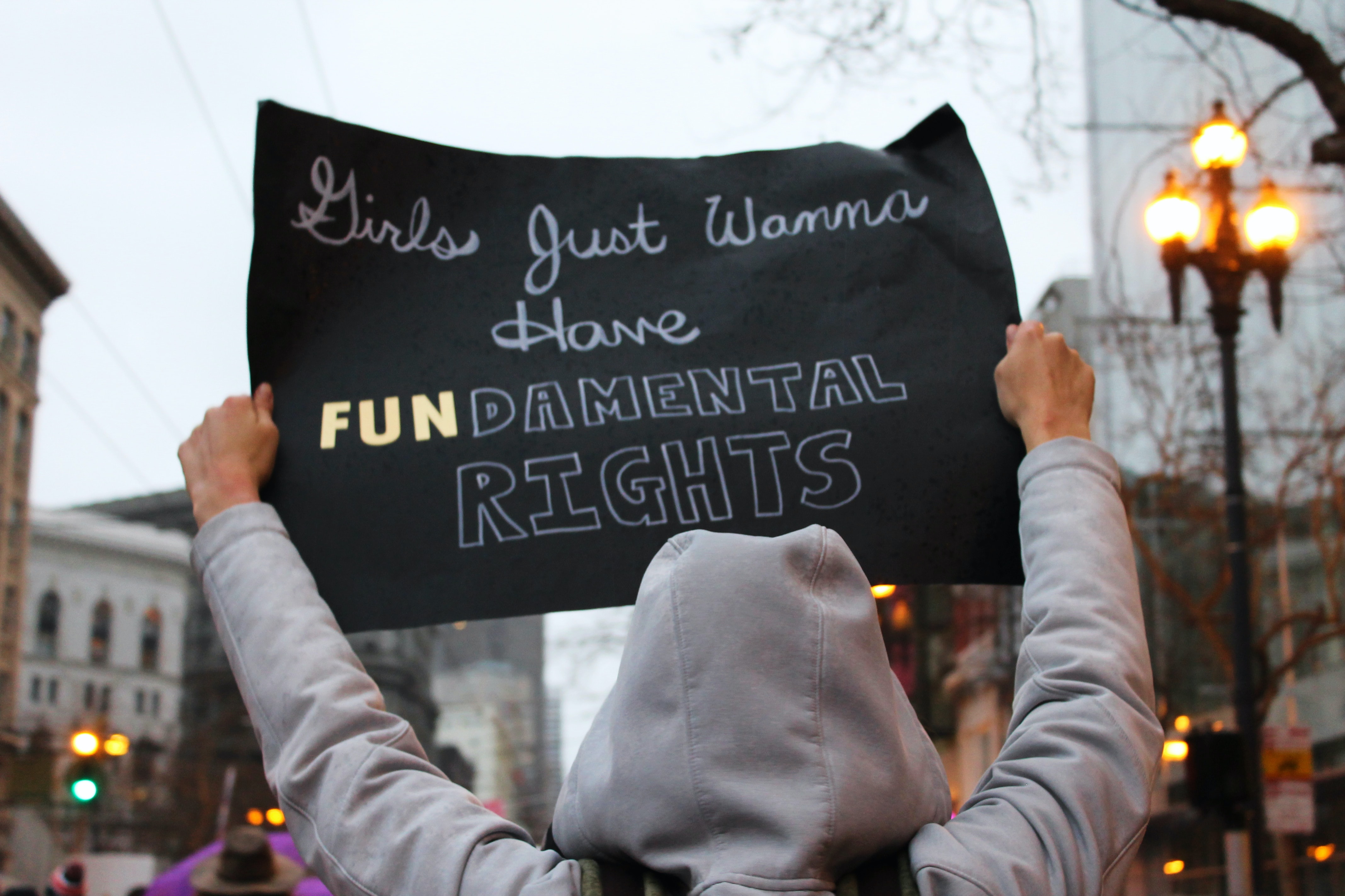 Women's Rights, Protest, sign