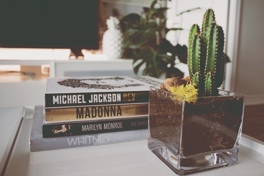 Michael Jackson Facts