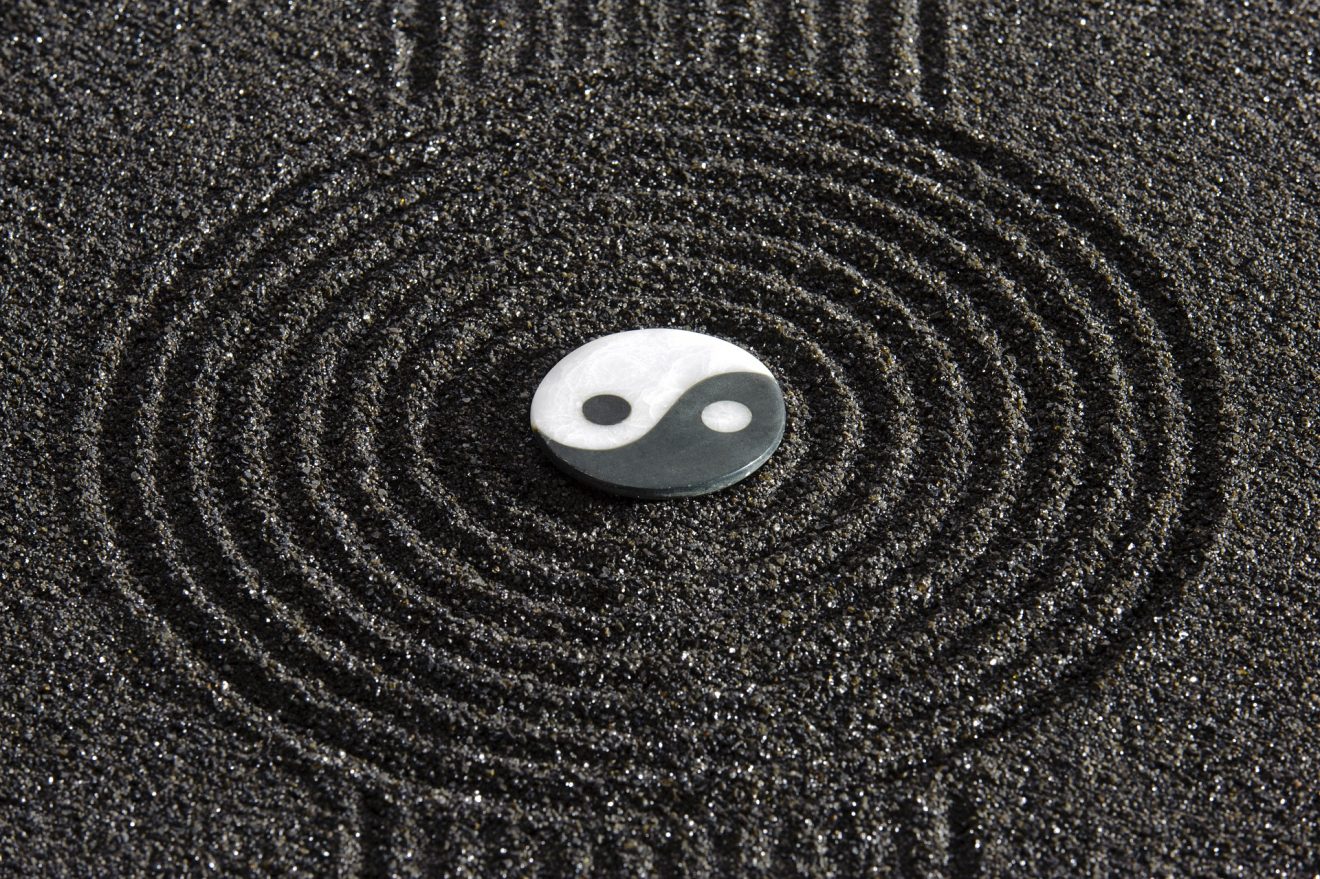 Master The Meaning Behind The Yin Yang Symbol Facts