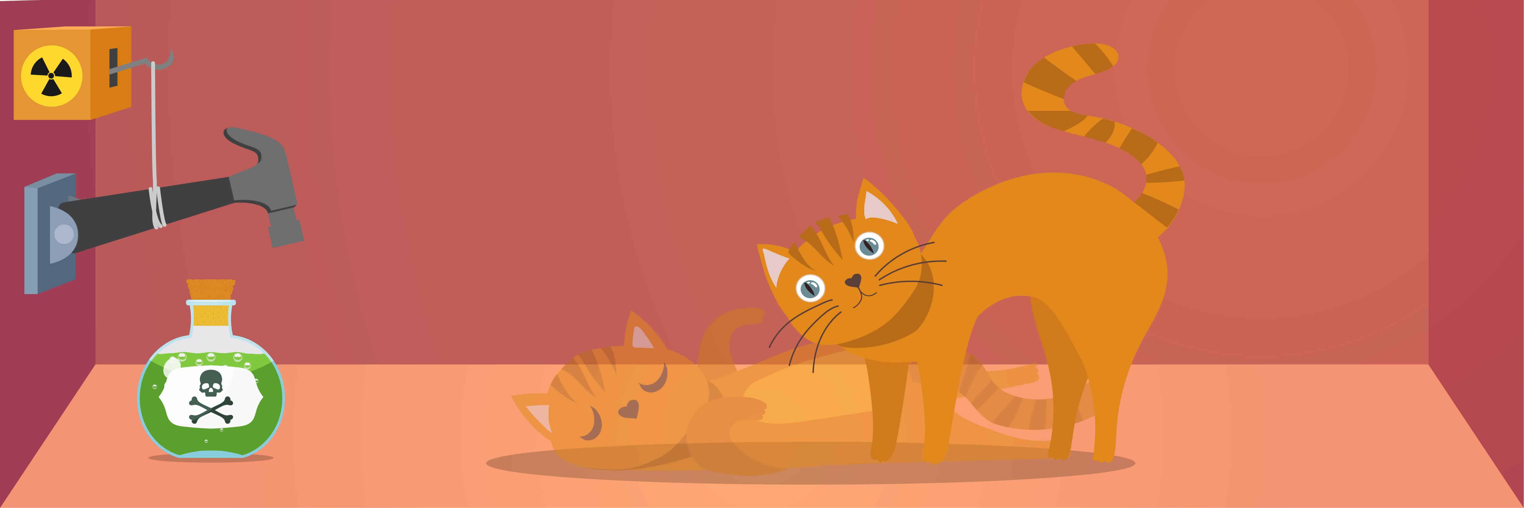 Schrödinger's Cat Paradox