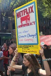 30 Cowspiracy Facts  Controversial You Have To Know 