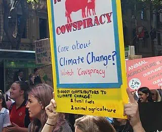 30 Cowspiracy Facts  Controversial You Have To Know 