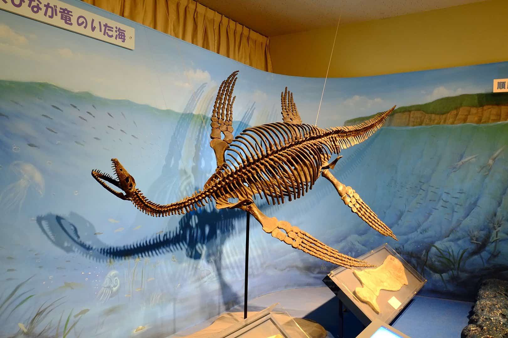 плезиозавр фото в живую