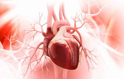 50 Important Facts About The Heart You Must Know 