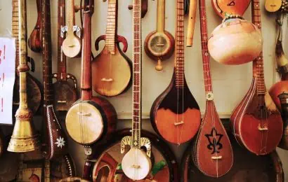 50 String Instruments For The Curious Musical Minds 