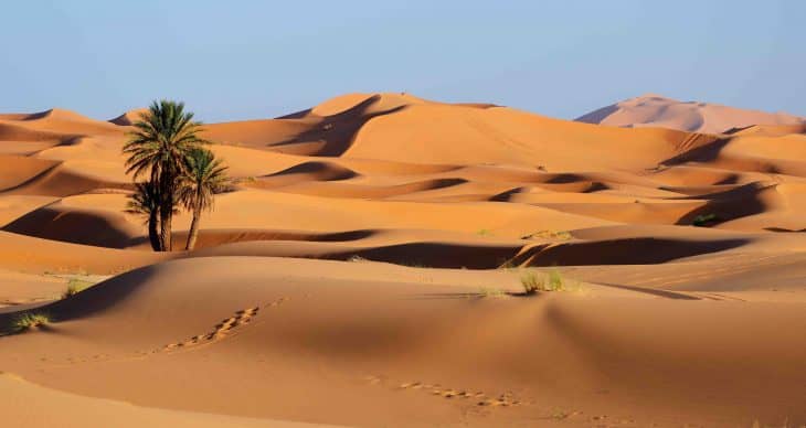 Sahara desert facts