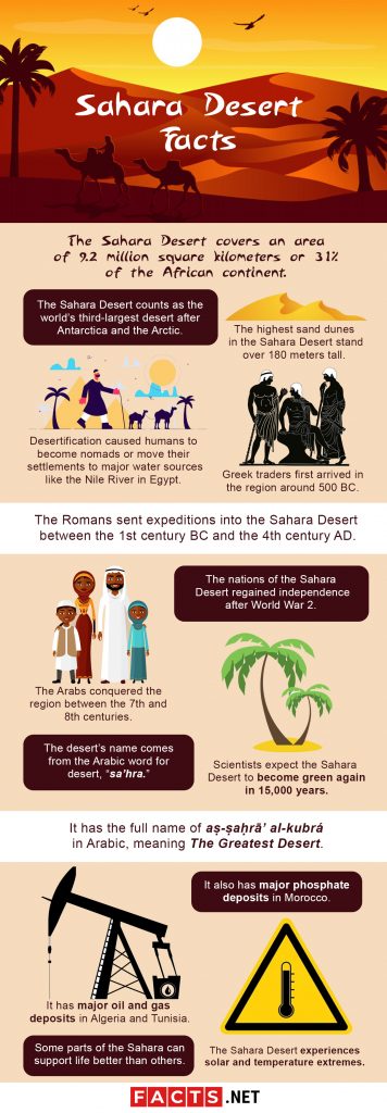 40 Sahara Desert Facts About The Great Desert Of Africa Facts Net   Sahara Desert Facts 356x1024 