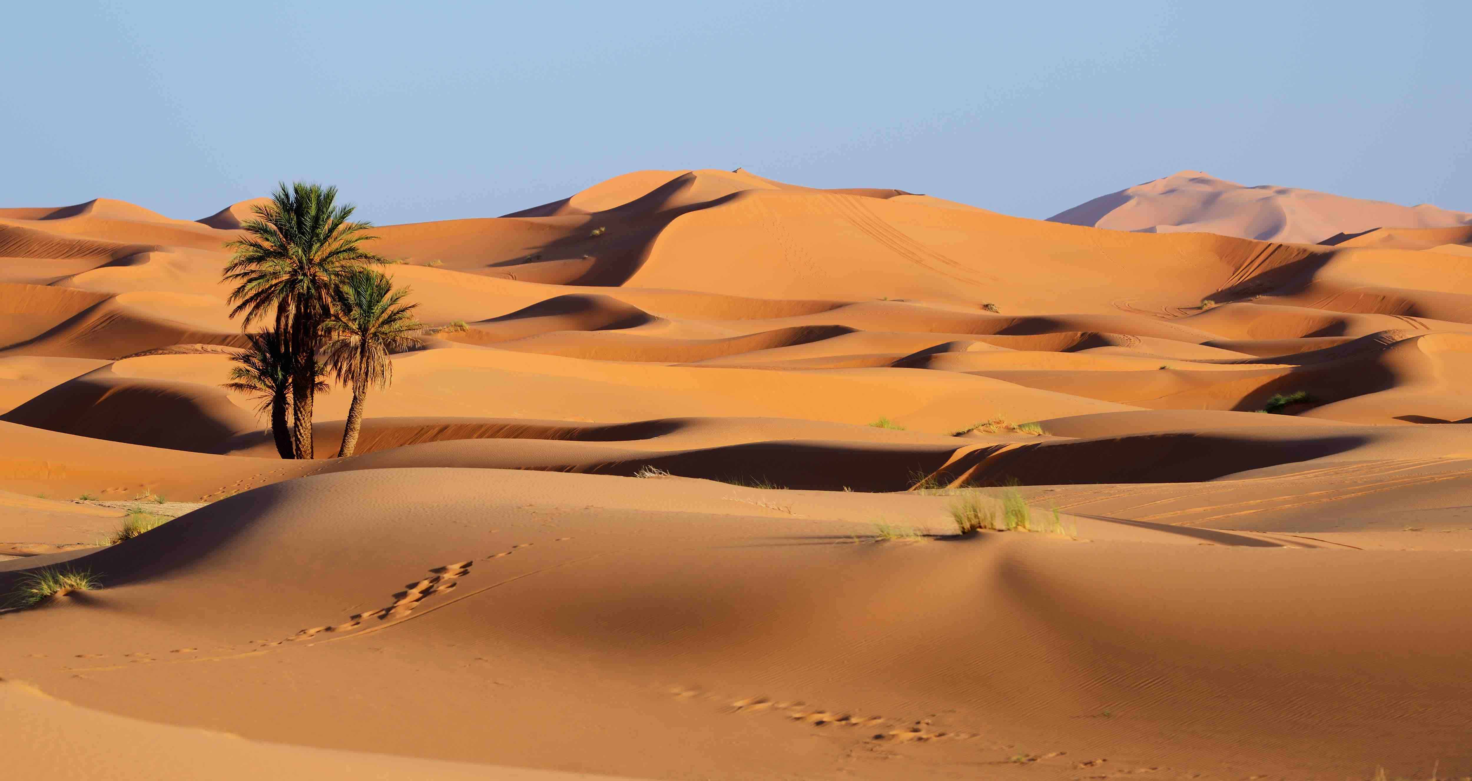 The Secrets Unveiled: Exploring the Enigmatic Sahara Desert - Citard