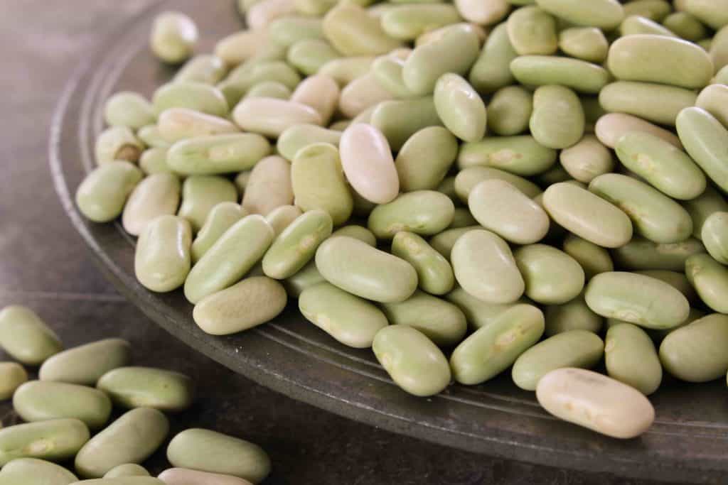 Flageolet Beans, types of beans