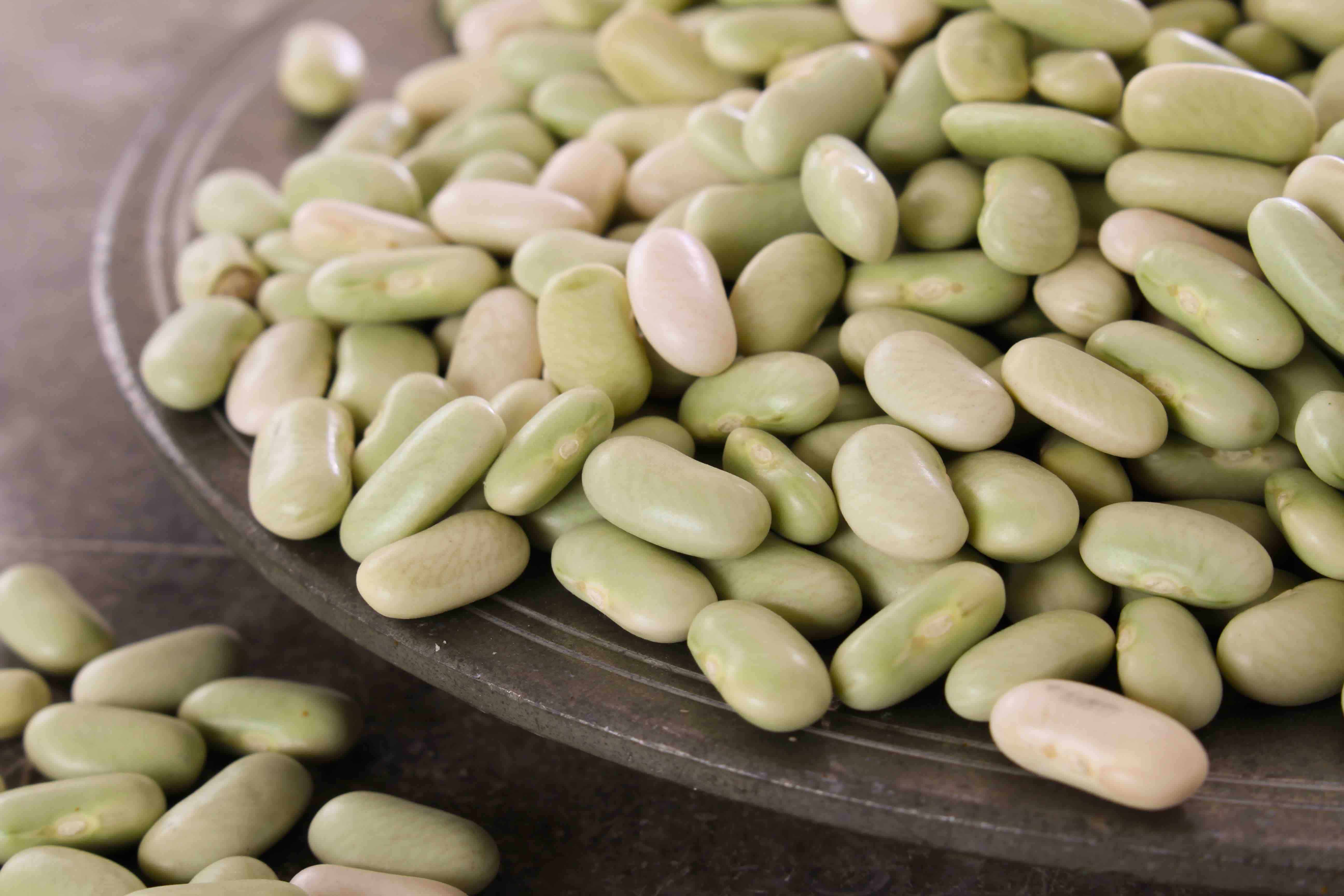 20 Types of Beans to Cook and Plant With