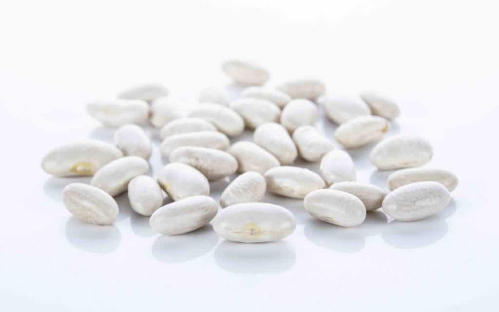 Great Northern Beans, types of beans