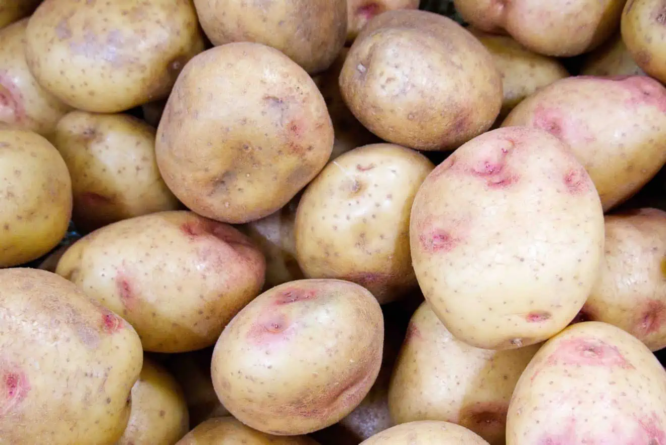 Types of Potatoes FactsandHistory