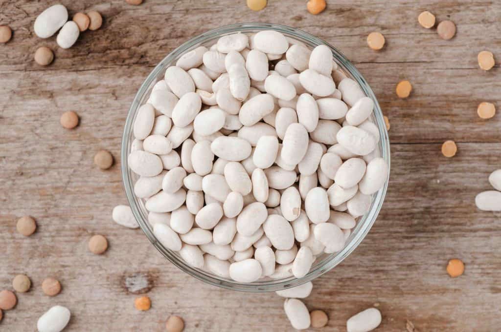 navy beans, types of beans