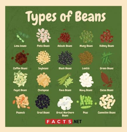20 Types of Beans to Cook and Plant With - Facts.net