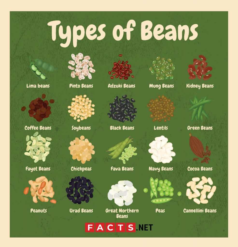 Бобы перевод на английский. Types of Beans. Bean на английском. Переводчик Beans. Бобы на английском языке.
