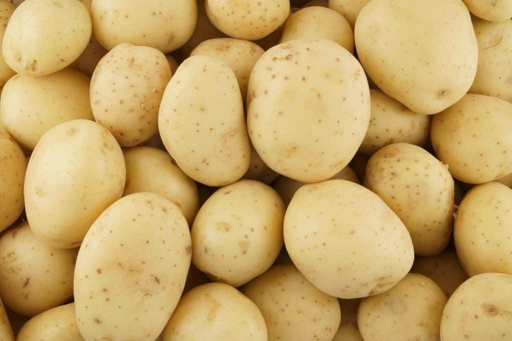 White Rose Potatoes Information and Facts