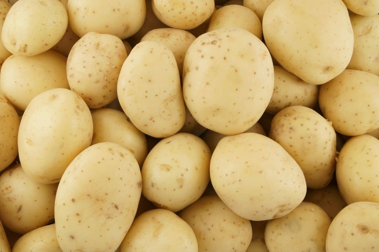 Types Of Potatoes For The Best Potato Dishes Facts Net