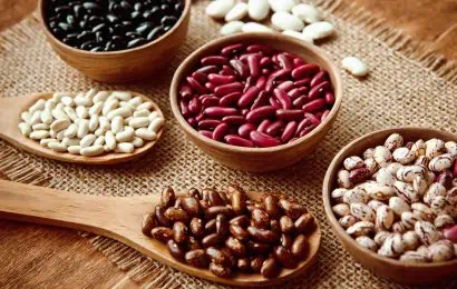20 Types of Beans to Cook and Plant With 