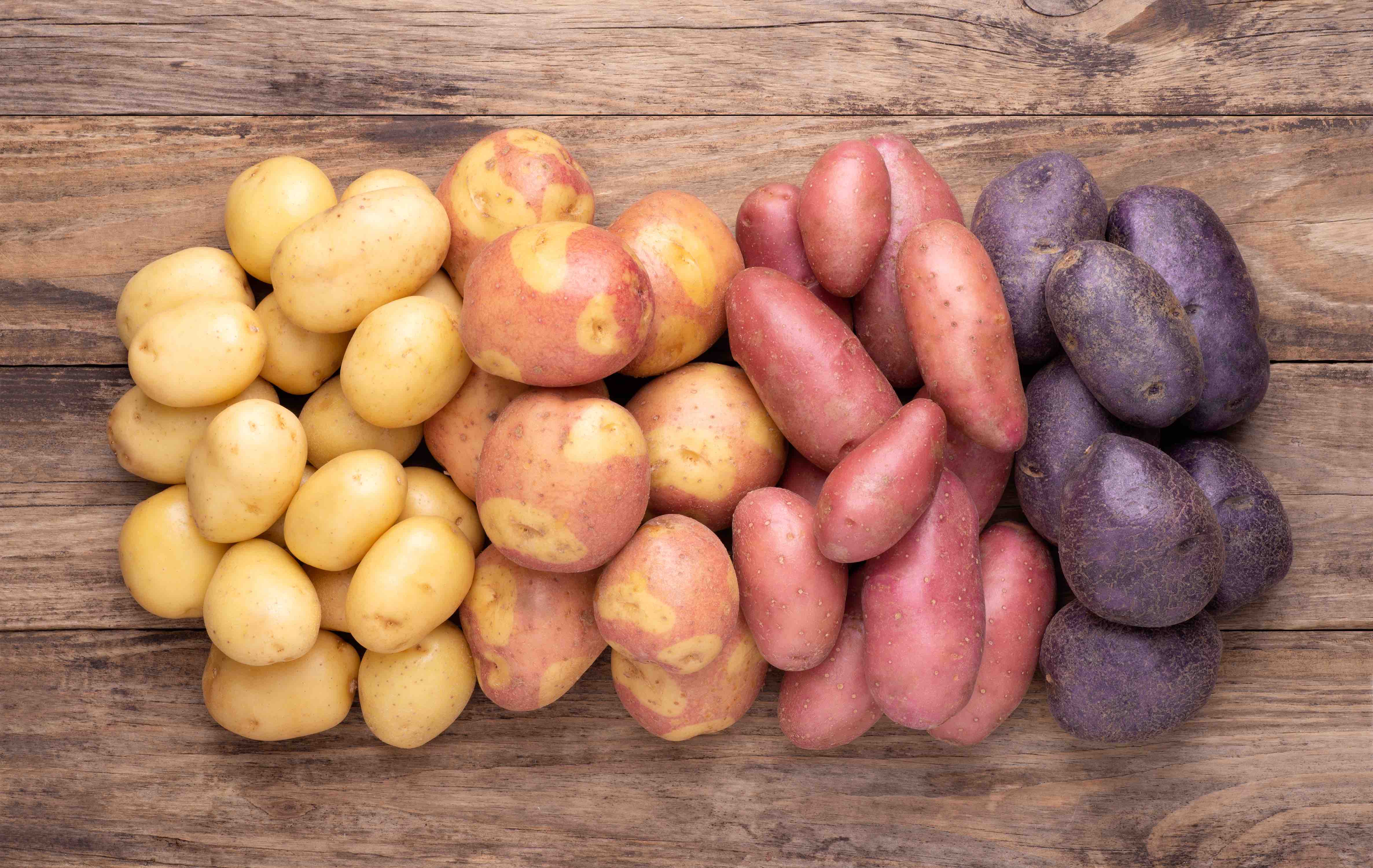 Learn With Prin Types Of Potatoes