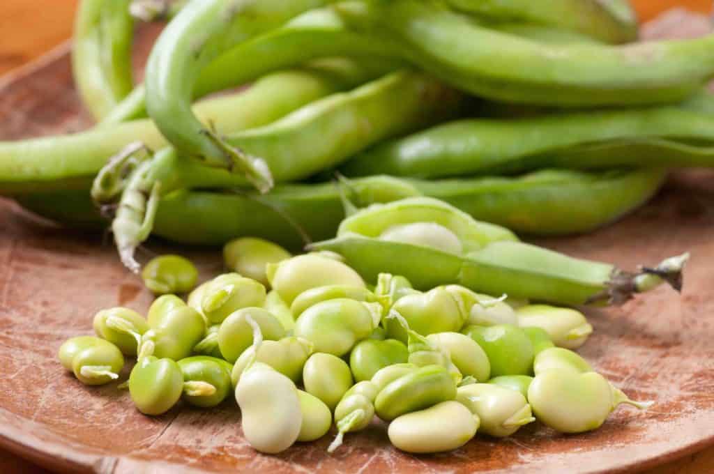 fava beans, broad beans, types of beans