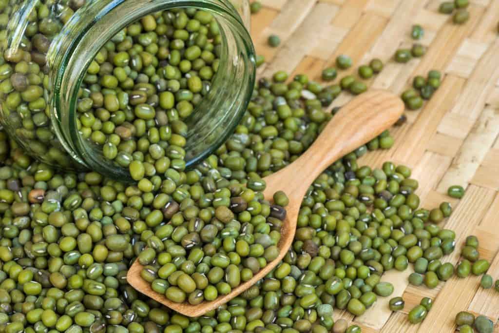 green mung beans, types of beans