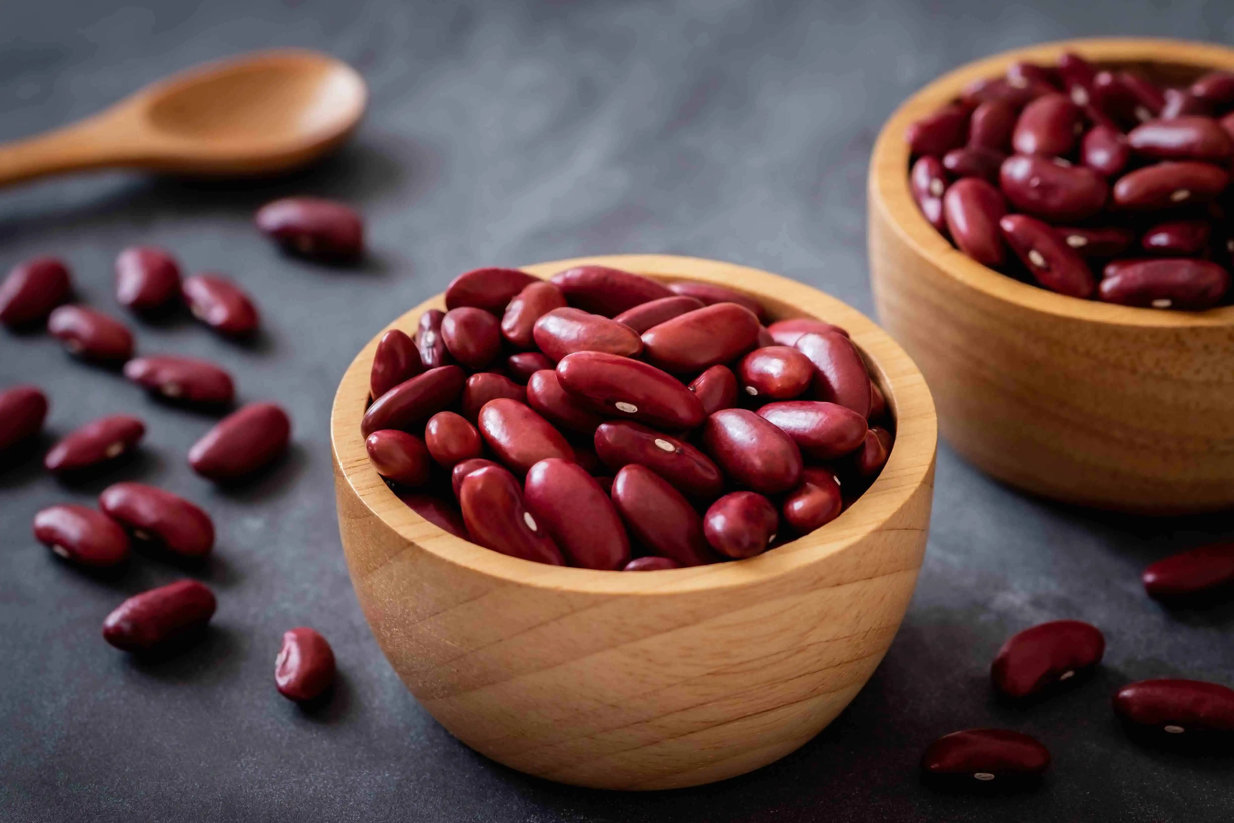 20 Types of Beans to Cook and Plant With