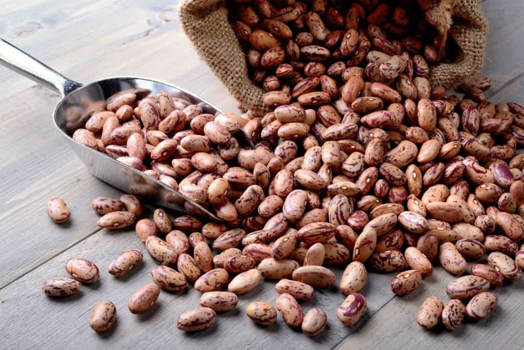 pinto beans, types of beans