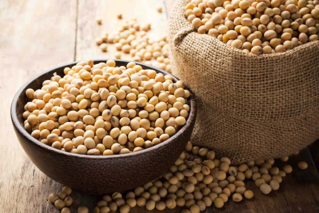 soybeans, soya beans, types of beans