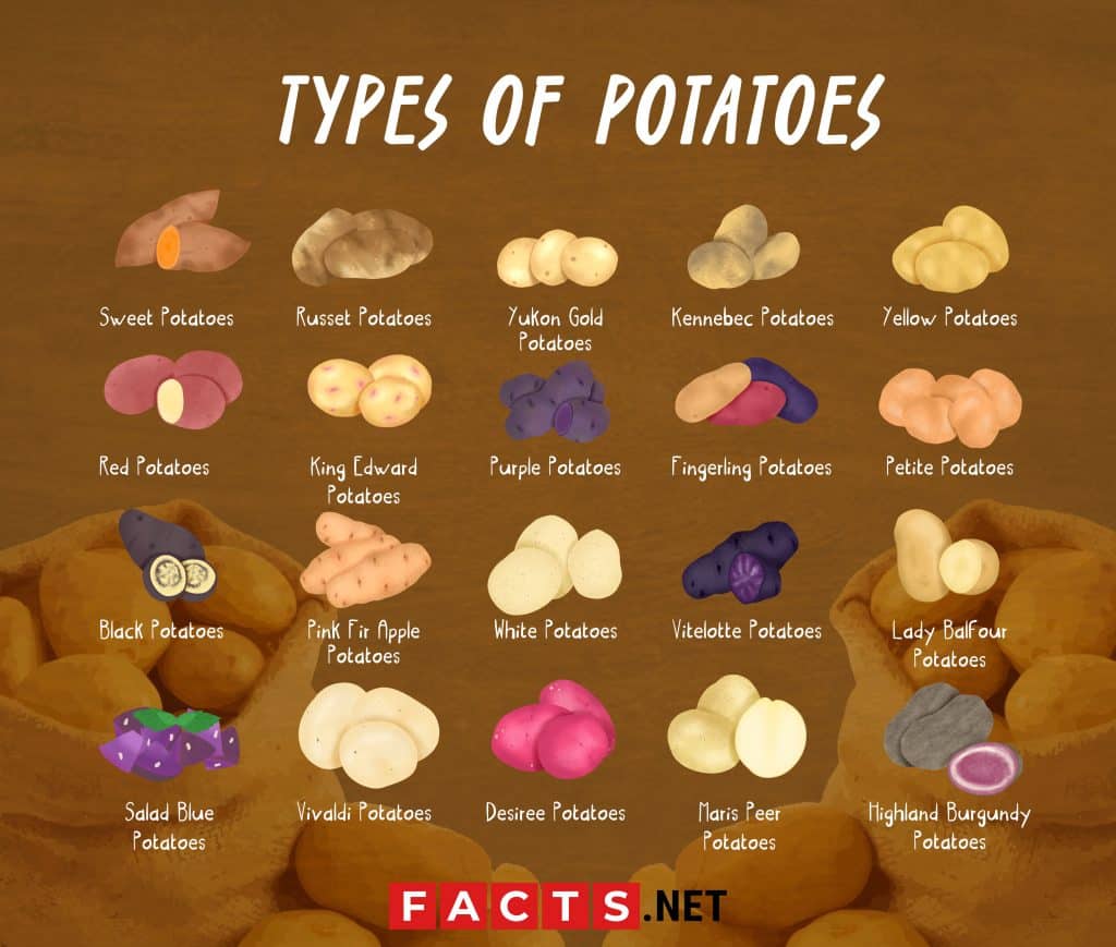 Types Of Potatoes Chart