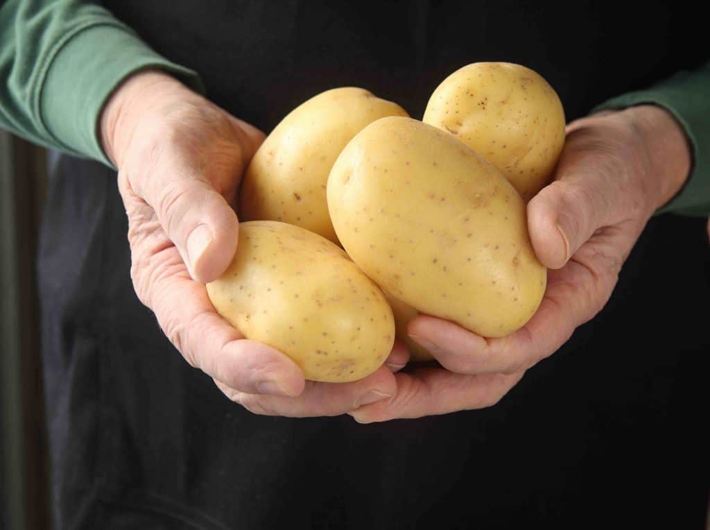 yukon gold potatoes