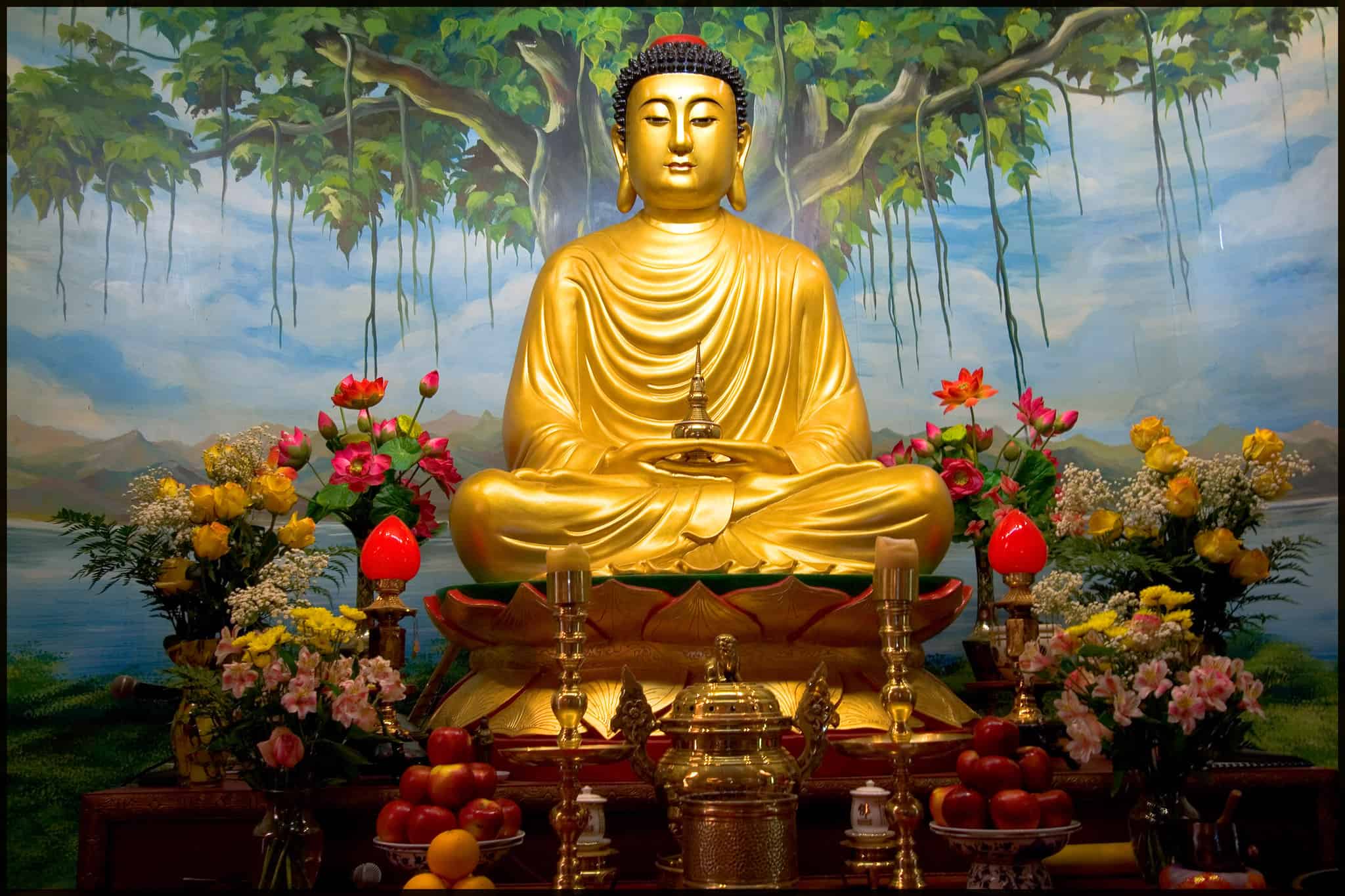 interesting facts about buddha