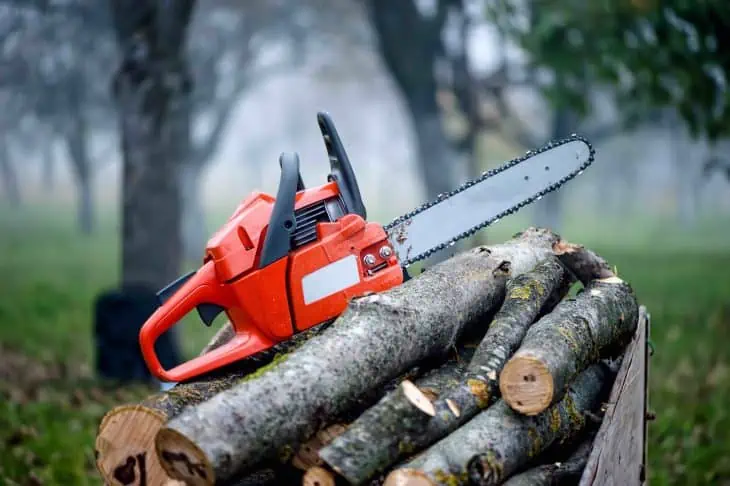 gasoline powered chainsaw