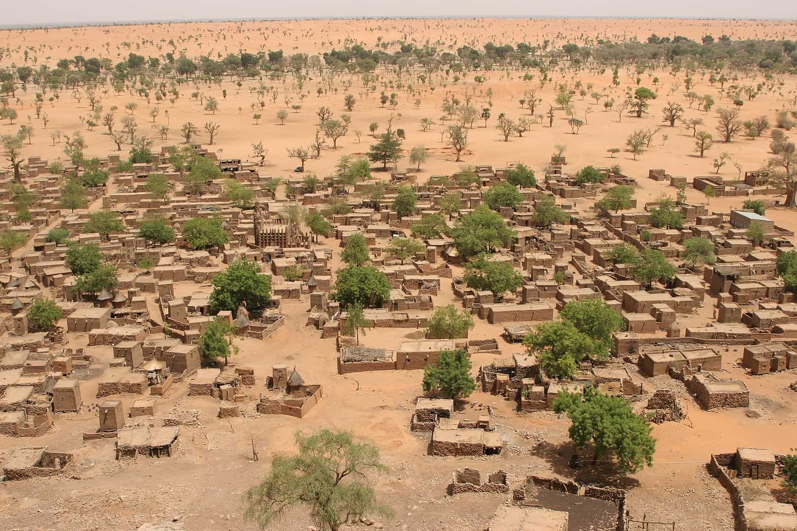 Facts About Deforestation, Desertification in Mali