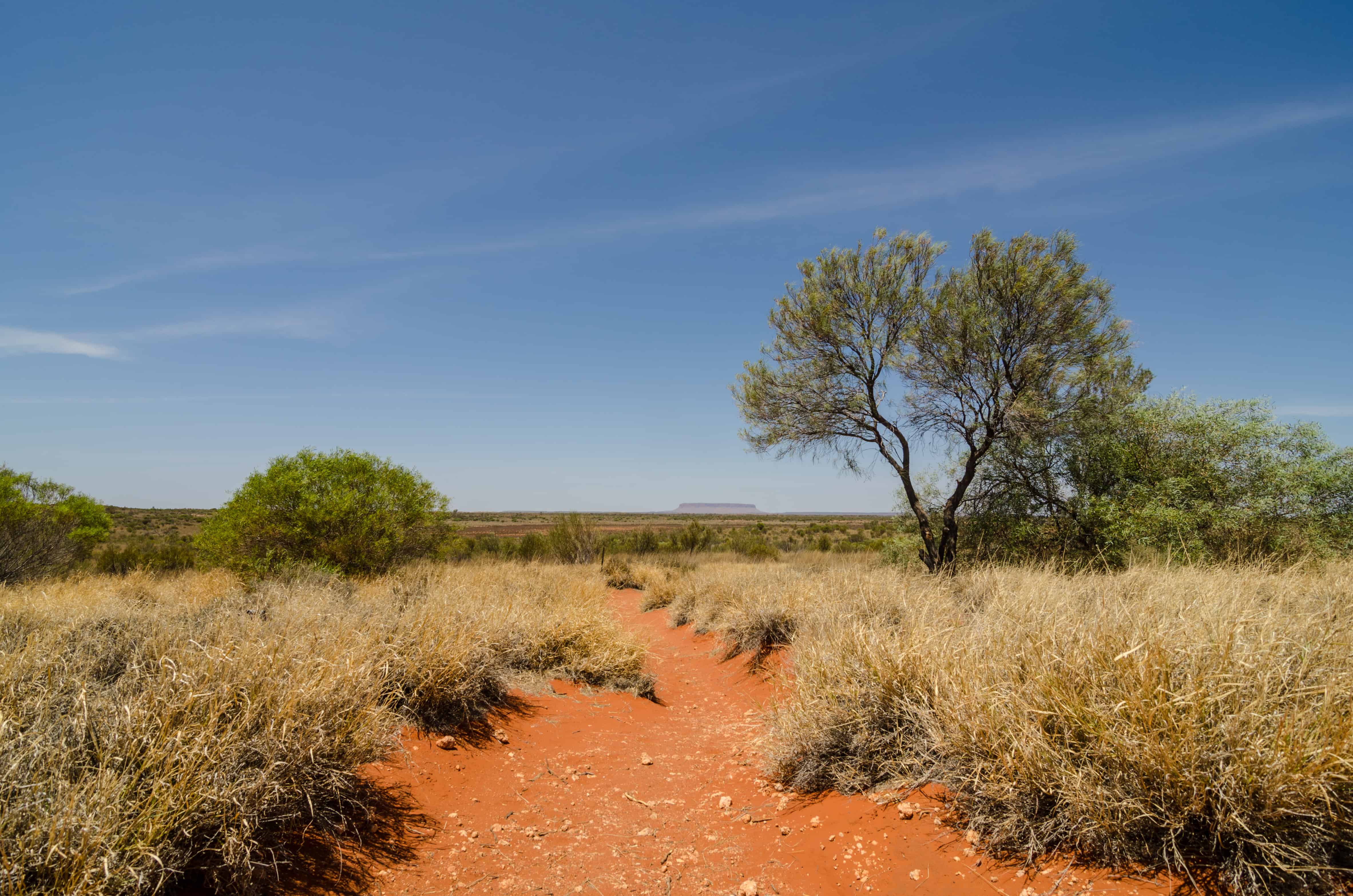 Largest deserts