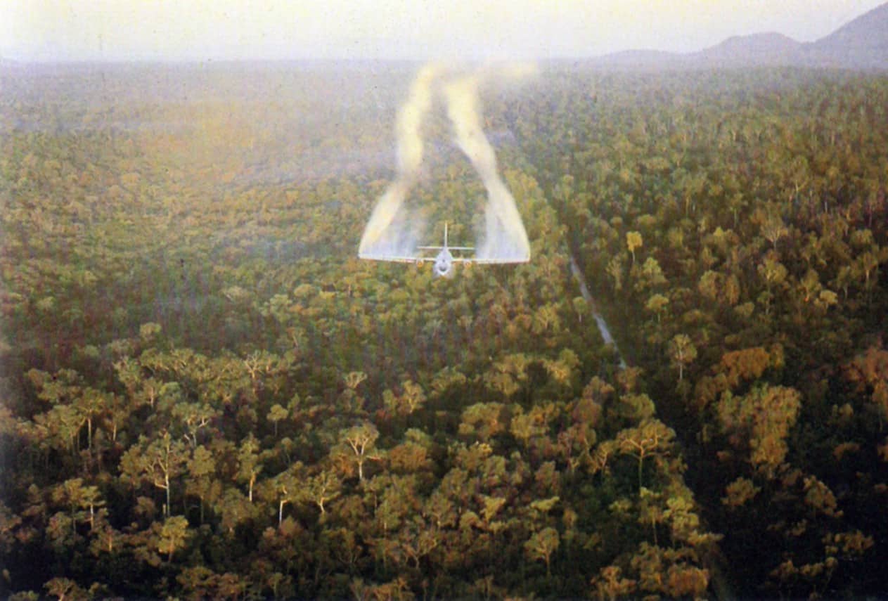 Facts About Deforestation, Agent Orange Deployment in the Vietnam War