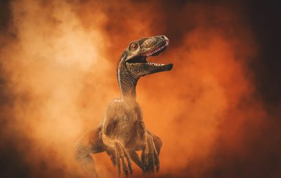 Velociraptor facts