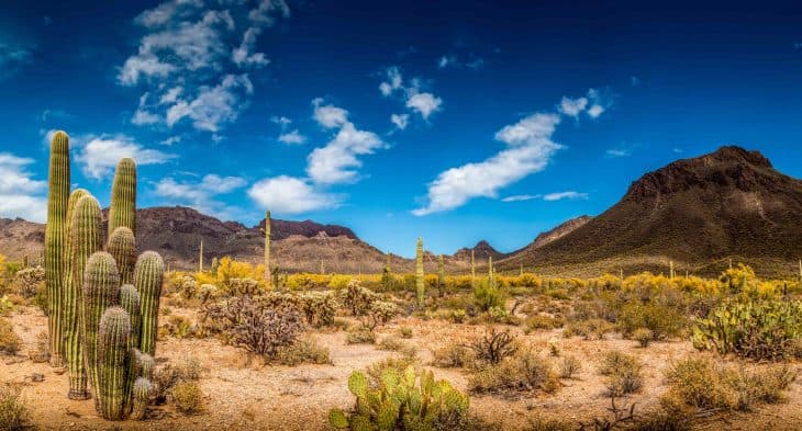Arizona Desert, desert facts