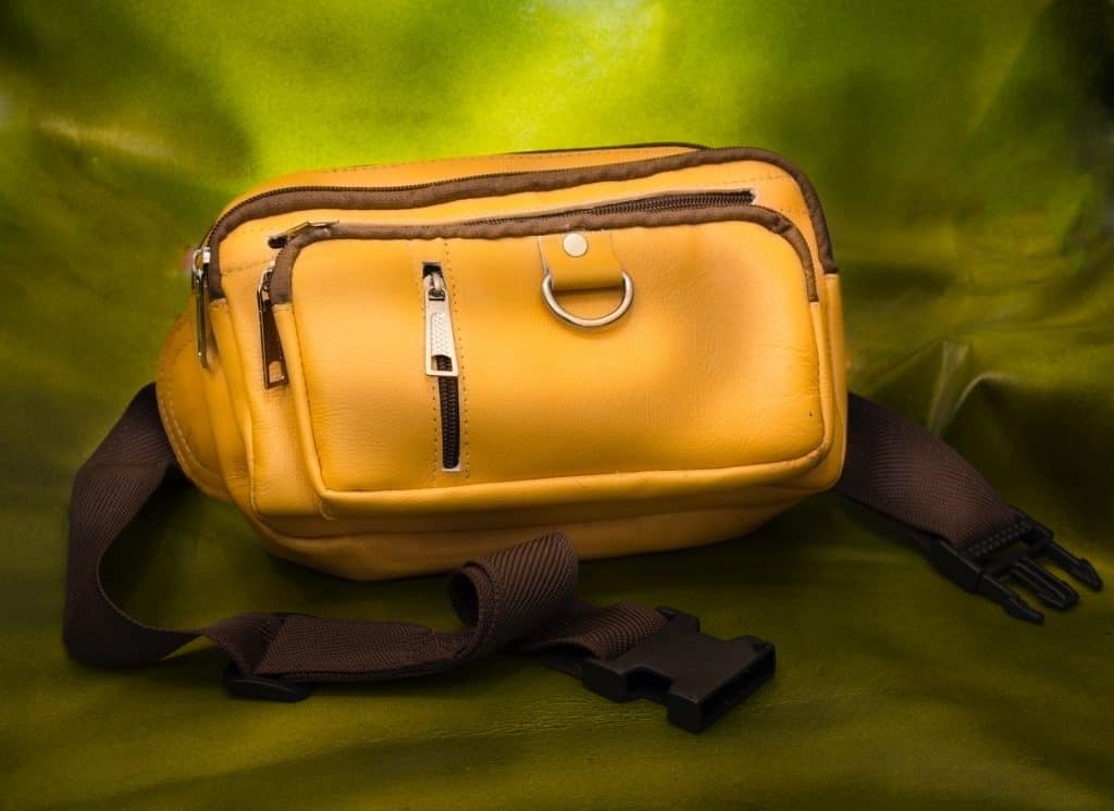 Saint Laurent Introduces the Bea Bag for Fall 2023 - PurseBlog