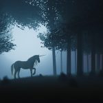 Unicorn in a magical forest