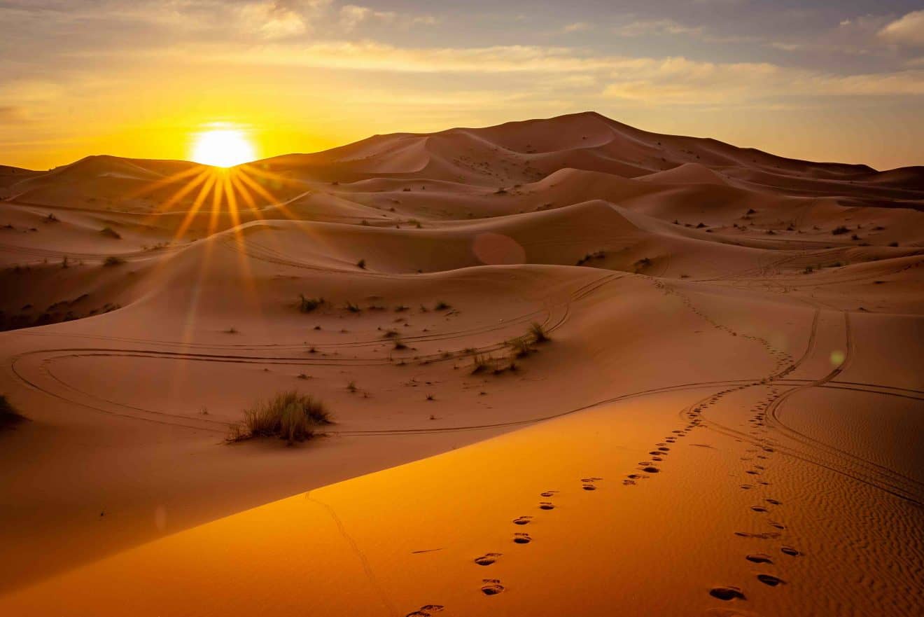 10 Largest Deserts in the World [Hot and Cold Included] - Facts.net