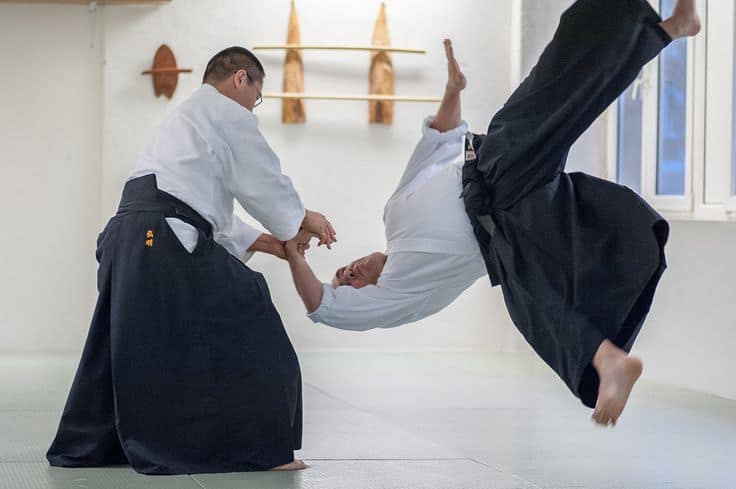 Types of Martial Arts: Aikido